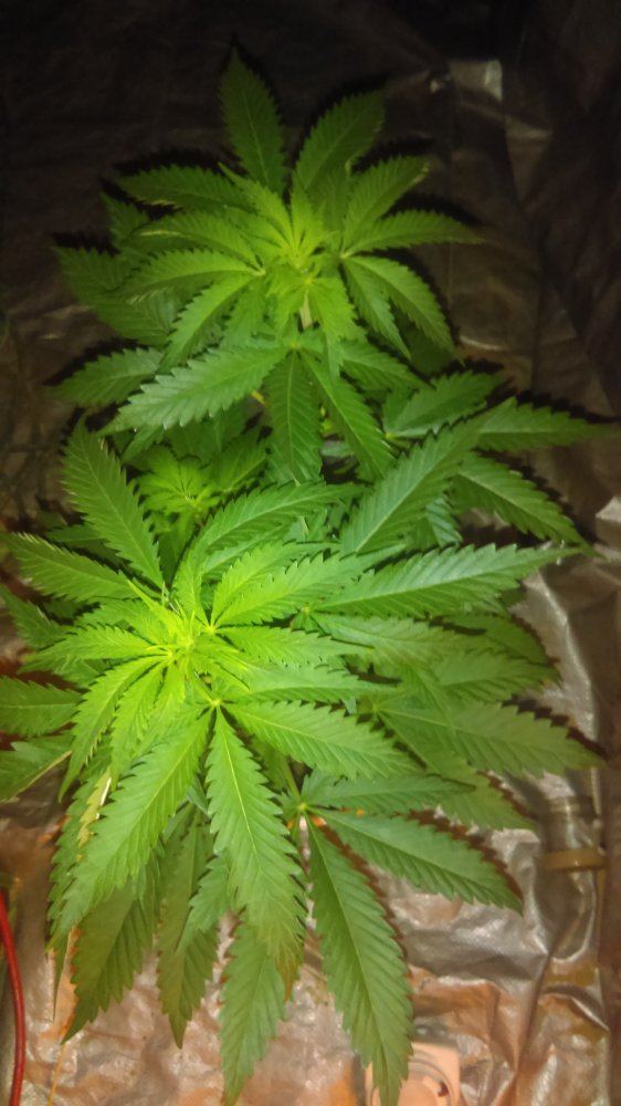 IMAG0505