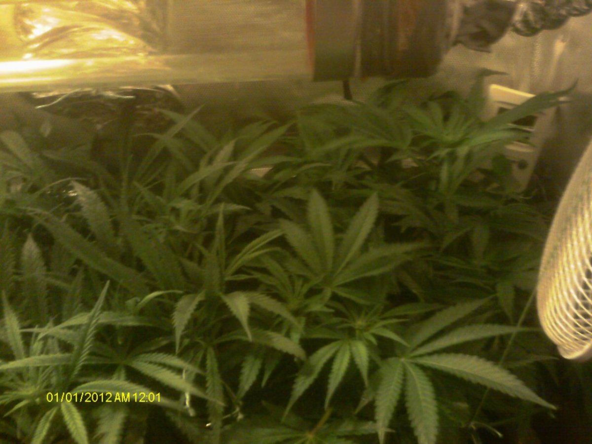 IMAG0507