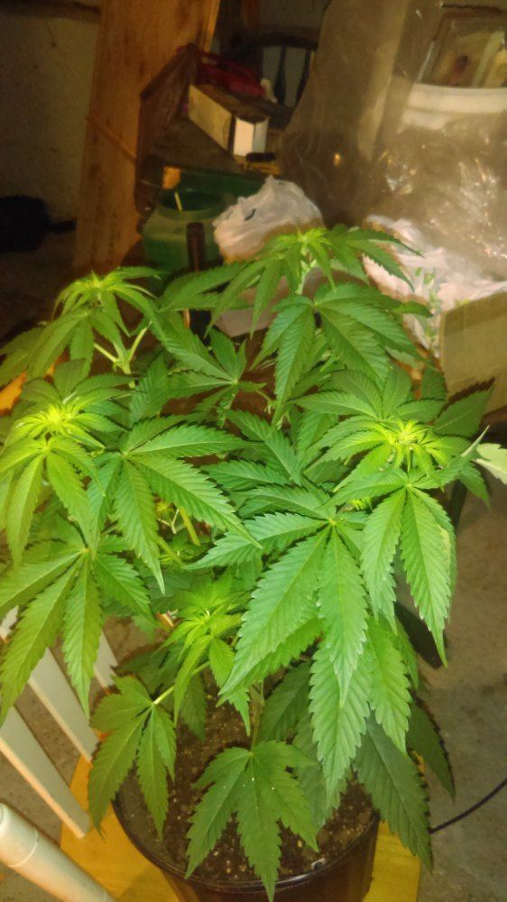 IMAG0507