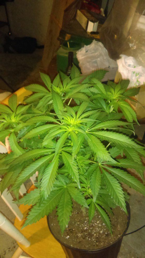 IMAG0509