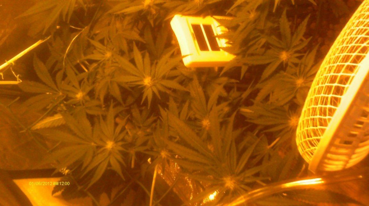 IMAG0531
