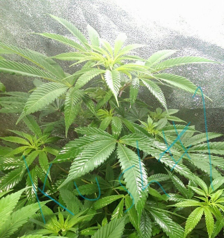 IMAG0531 2