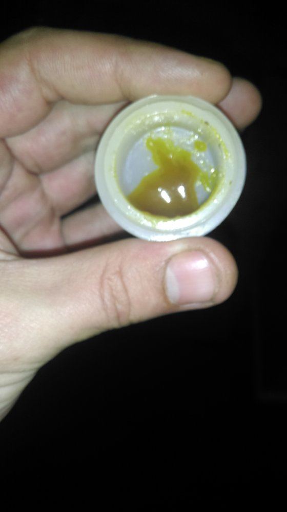 IMAG0539