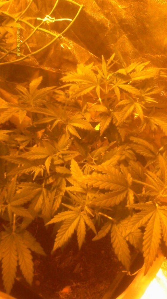 IMAG0543