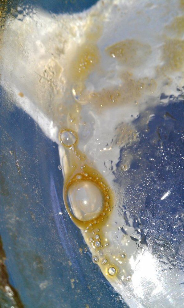 IMAG0558