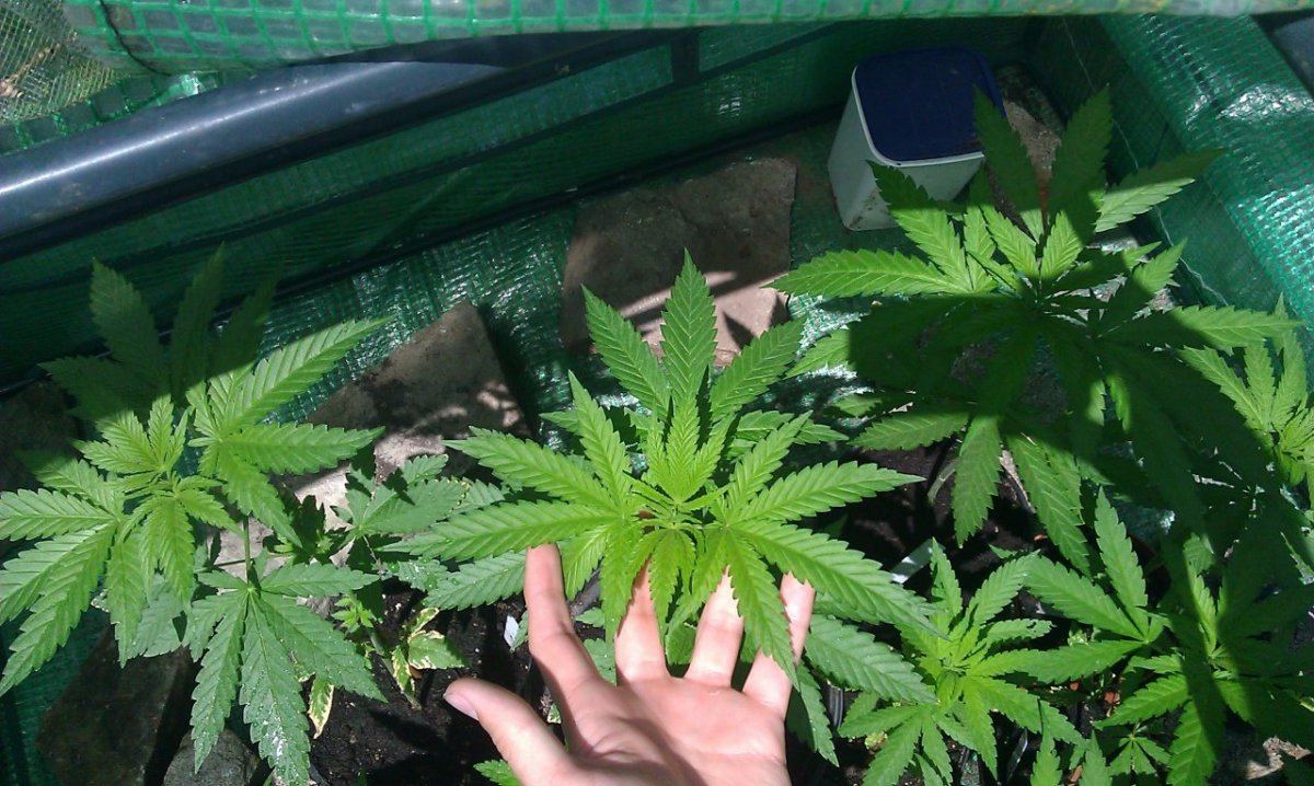 IMAG0564