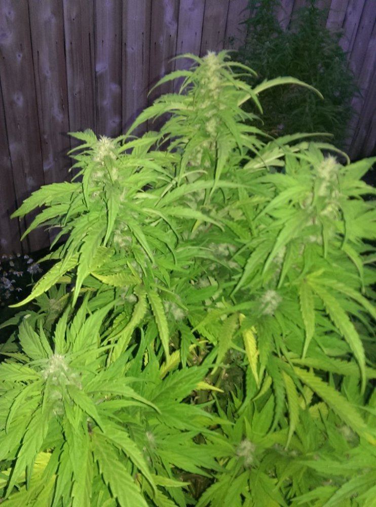 IMAG0576