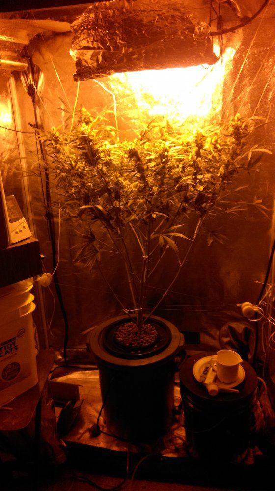 IMAG0577