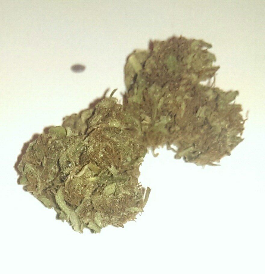 IMAG0577 1