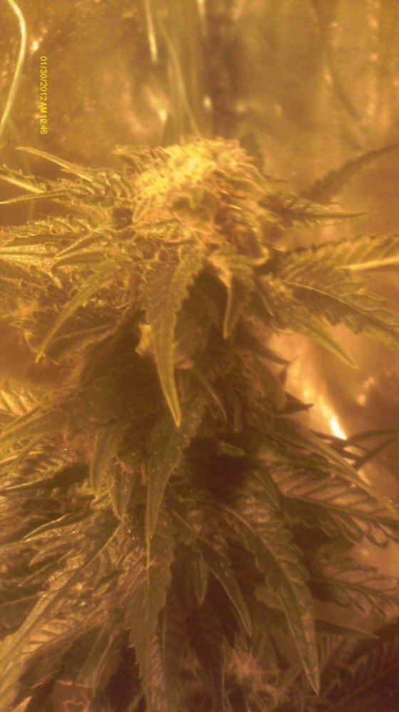 IMAG0626