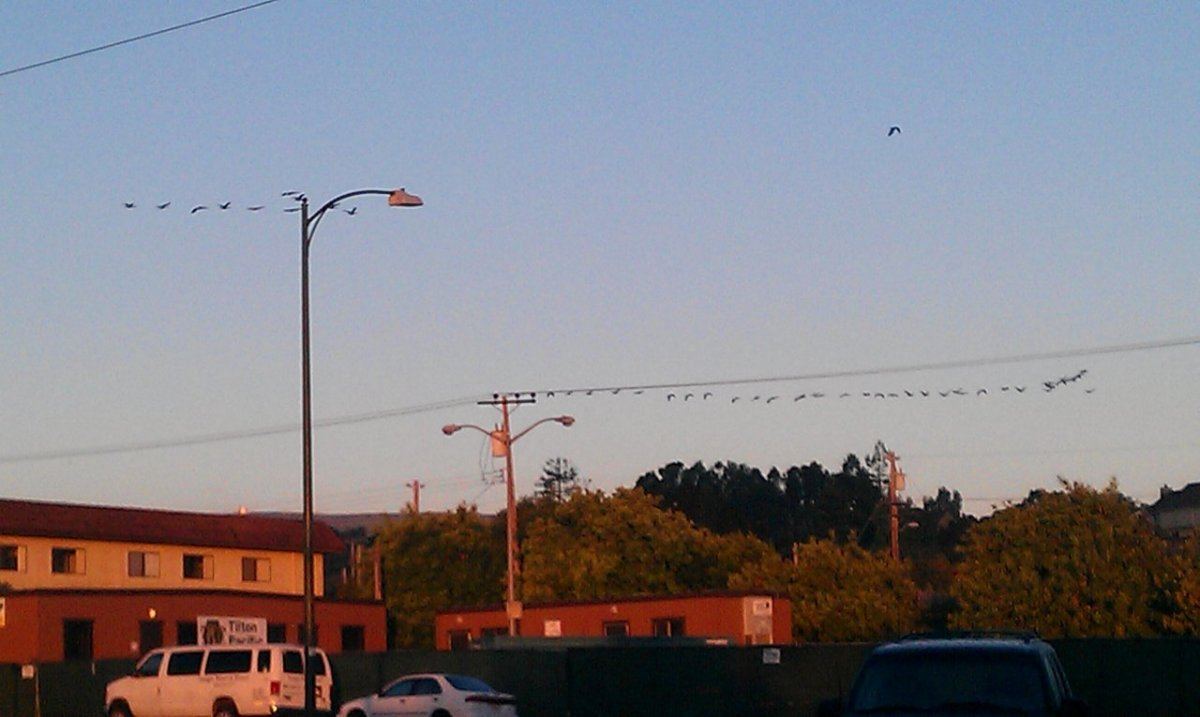 IMAG0634