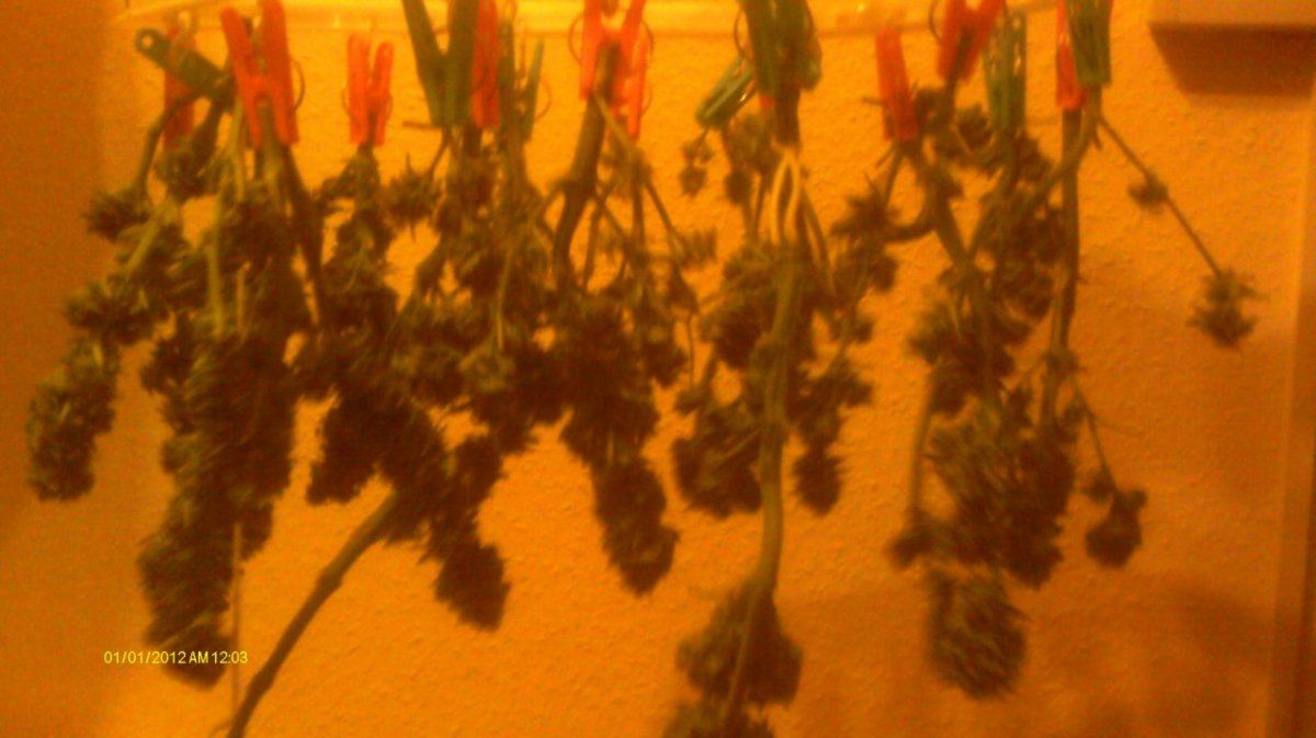 IMAG0642