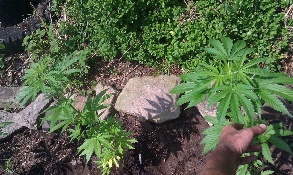 IMAG0665