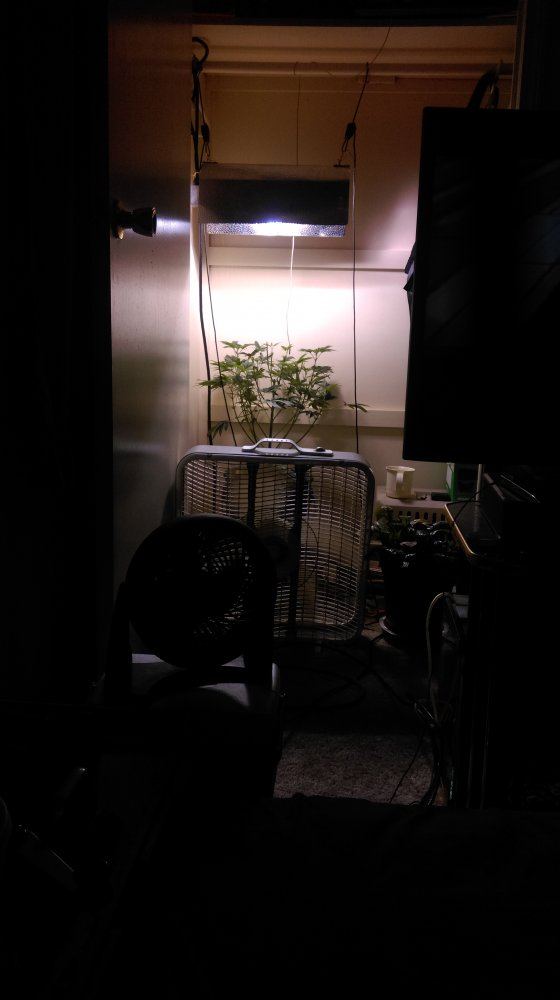 IMAG0742