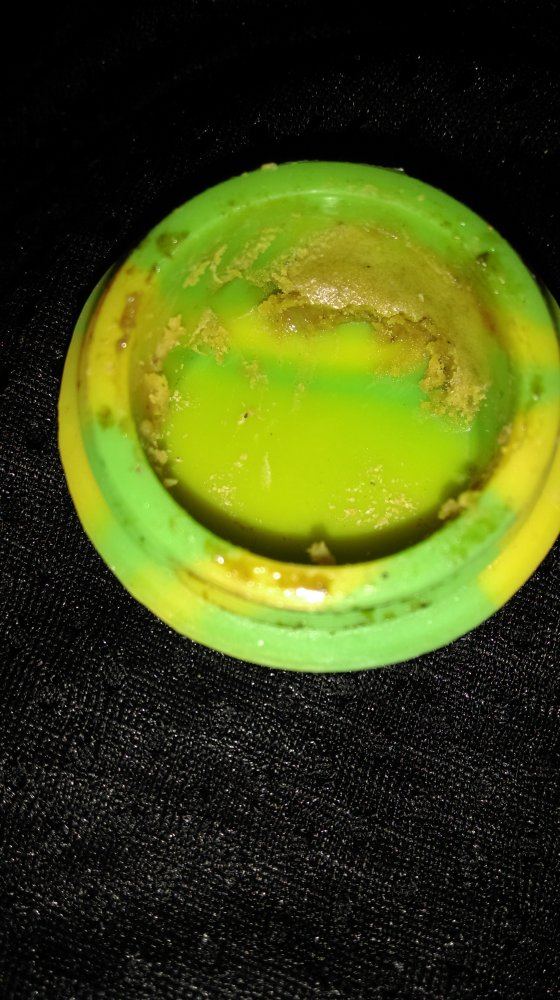 IMAG0744