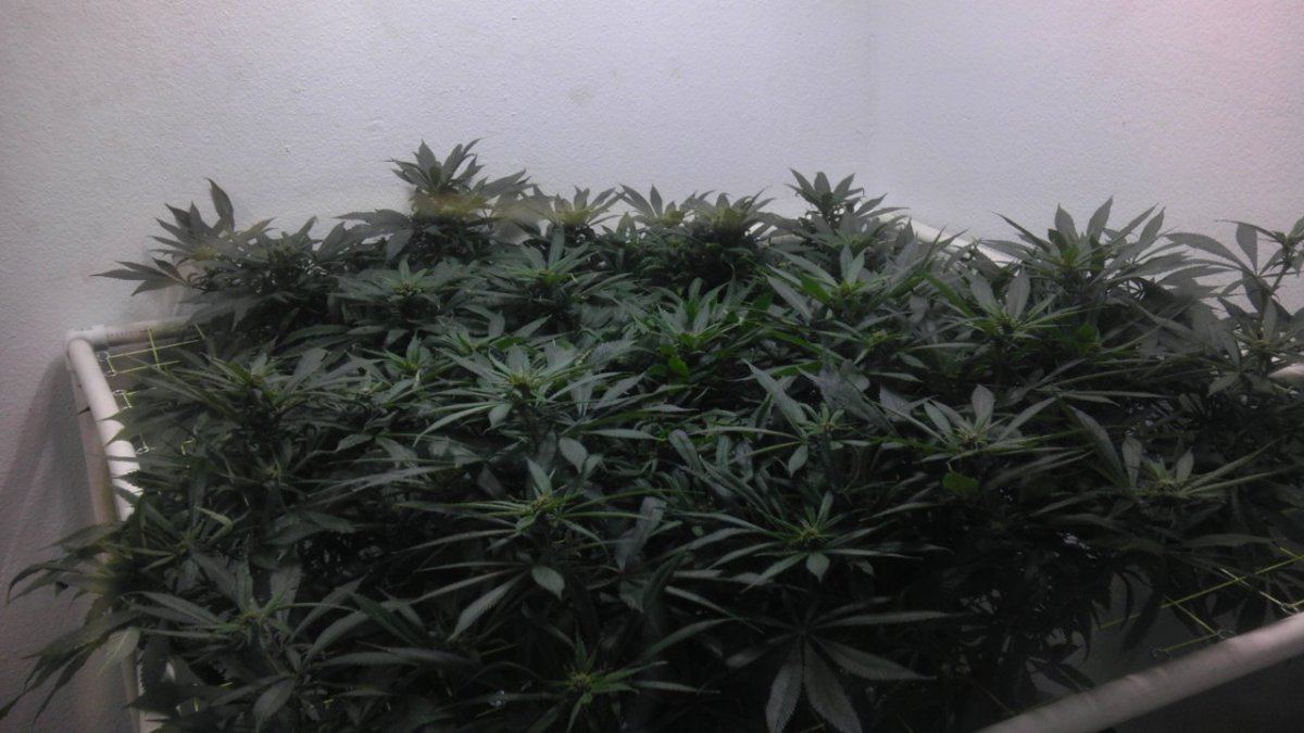 IMAG0760