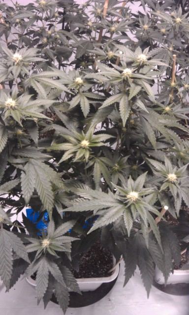 IMAG0760