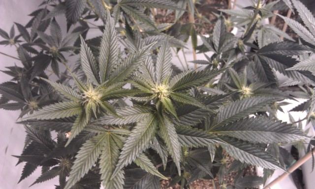 IMAG0762