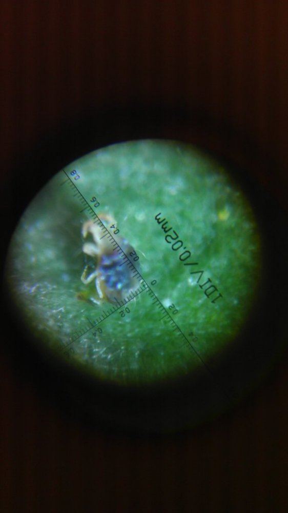 IMAG0786