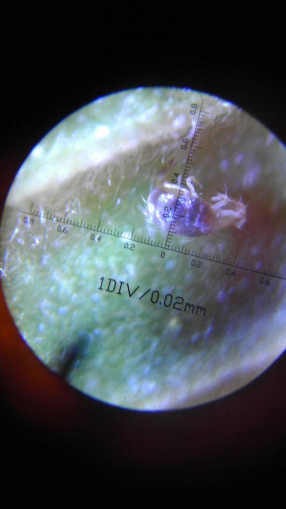 IMAG0791