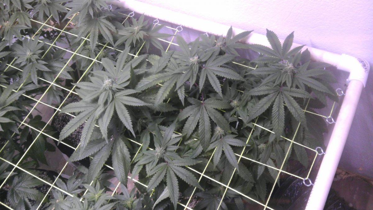 IMAG0800