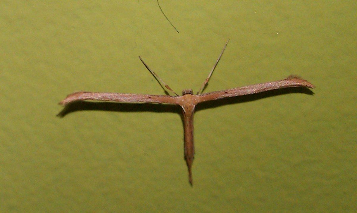 IMAG0812