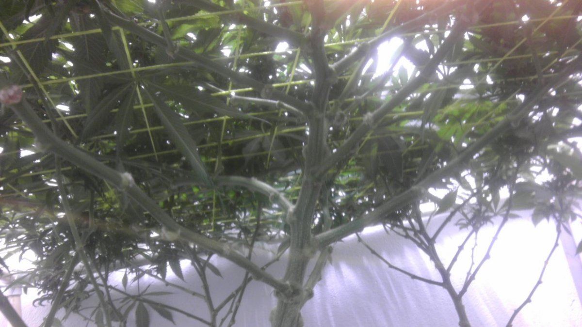 IMAG0819