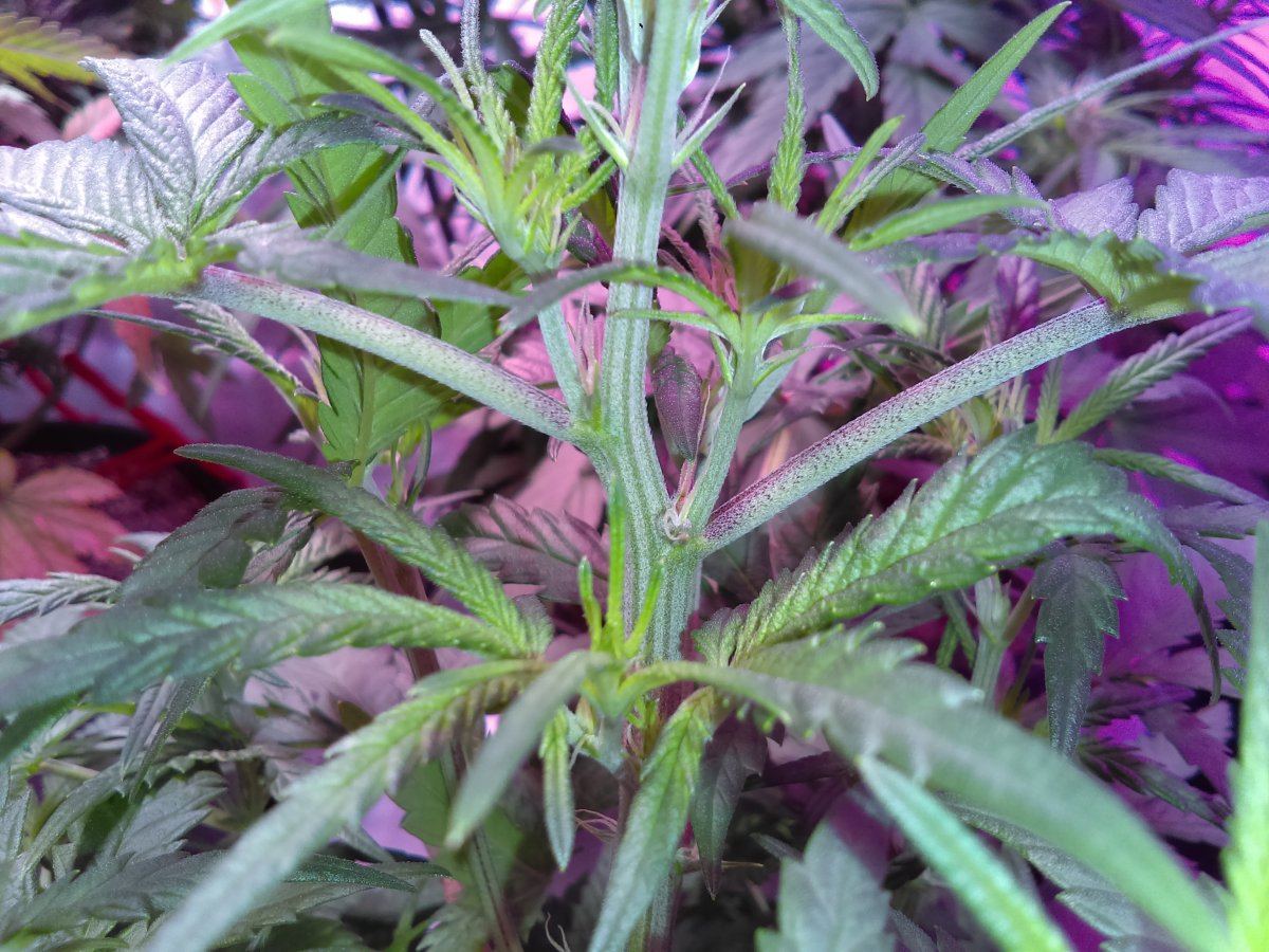 IMAG0828