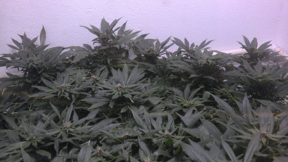 IMAG0834