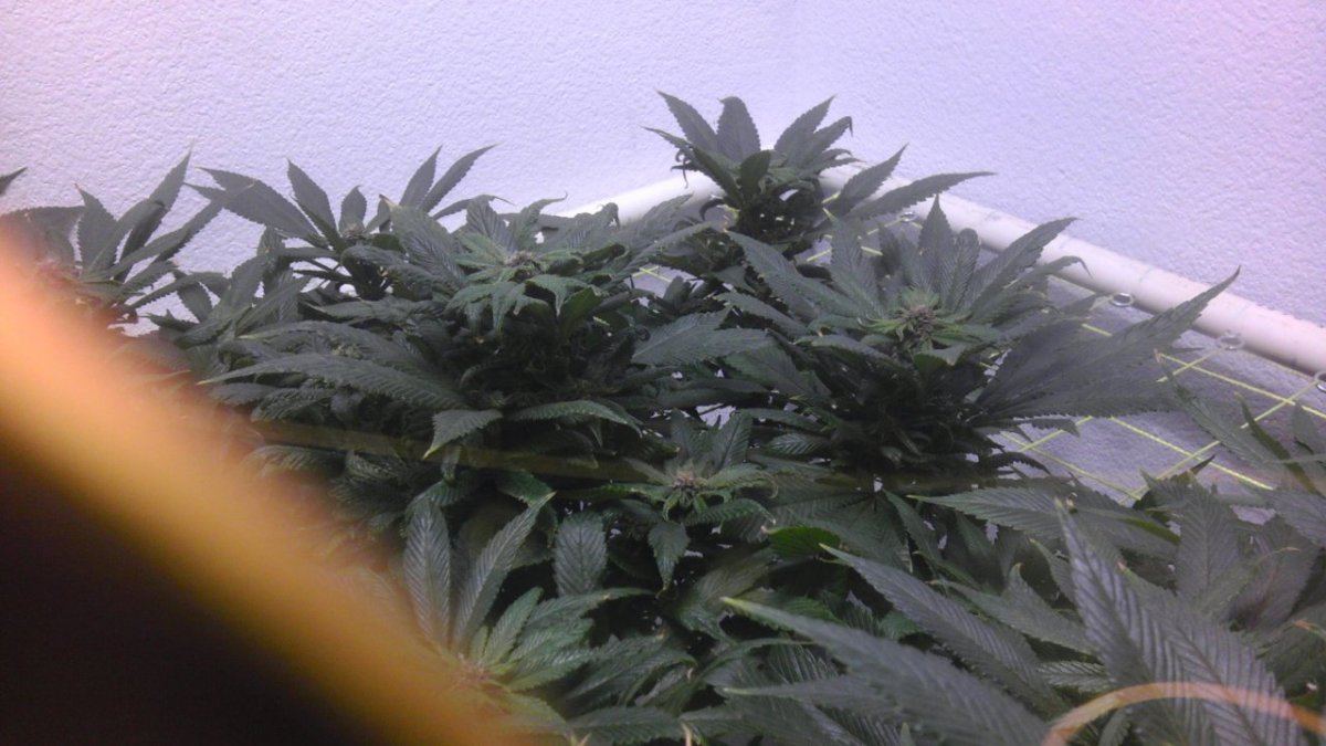 IMAG0836