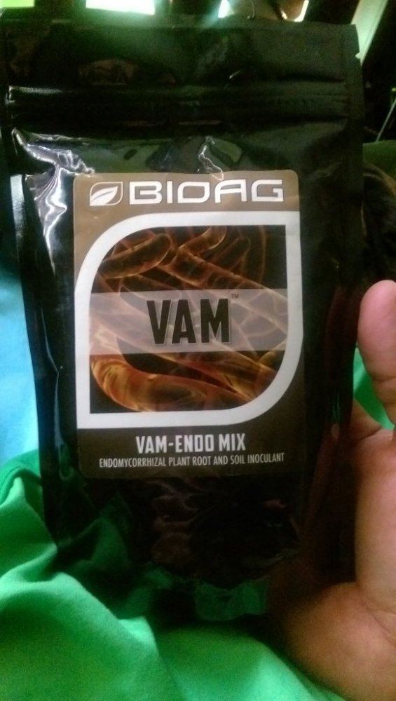 IMAG0838