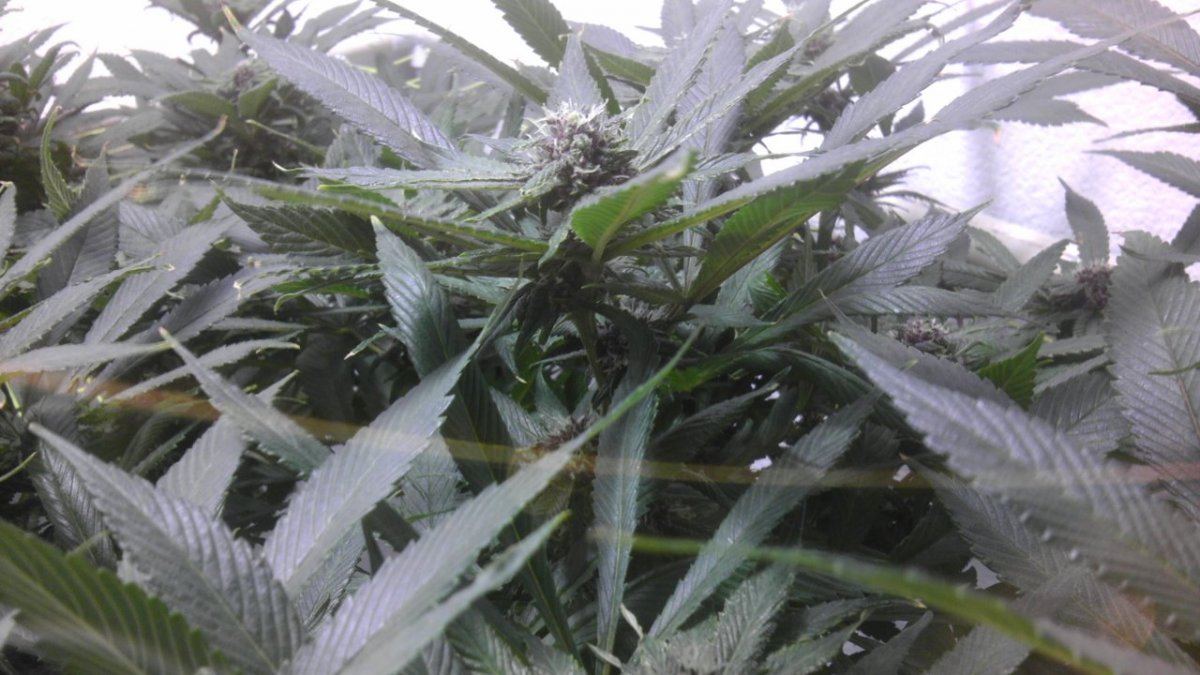 IMAG0851