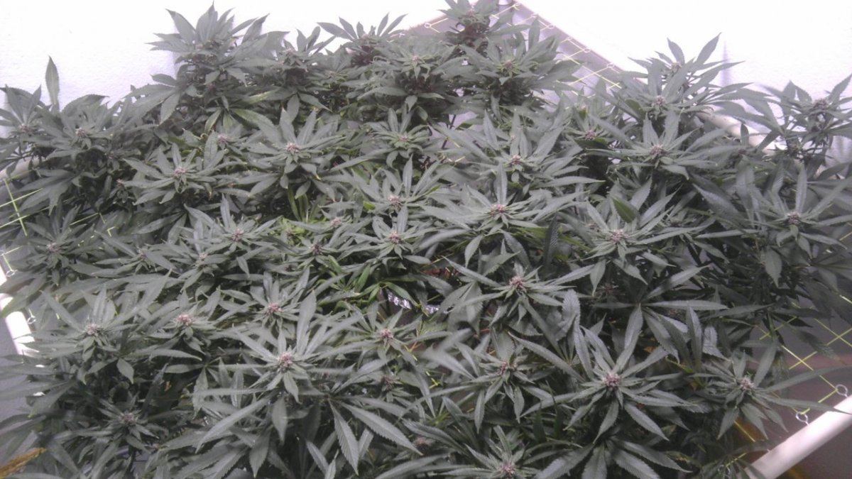 IMAG0853