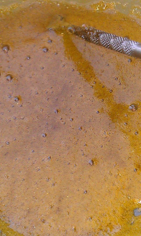 IMAG0856