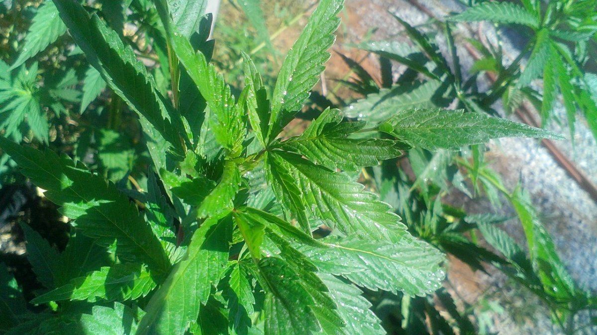 IMAG0886