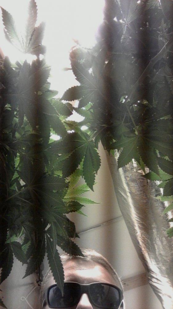 IMAG0890