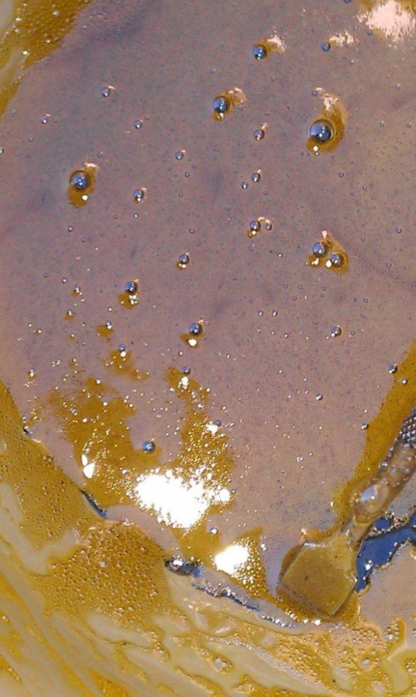 IMAG0900