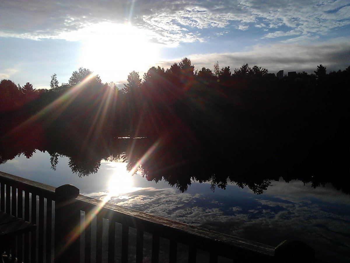 IMAG0900