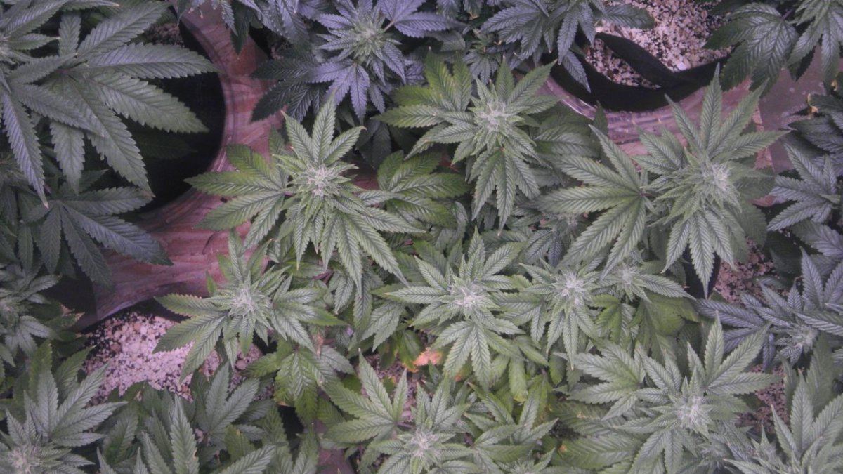 IMAG0902