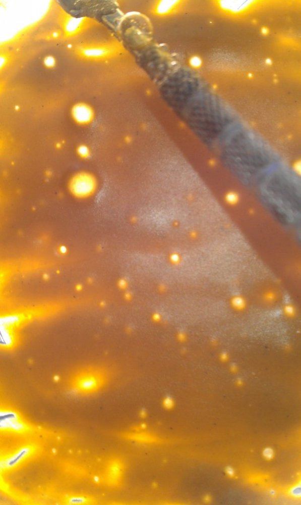 IMAG0907