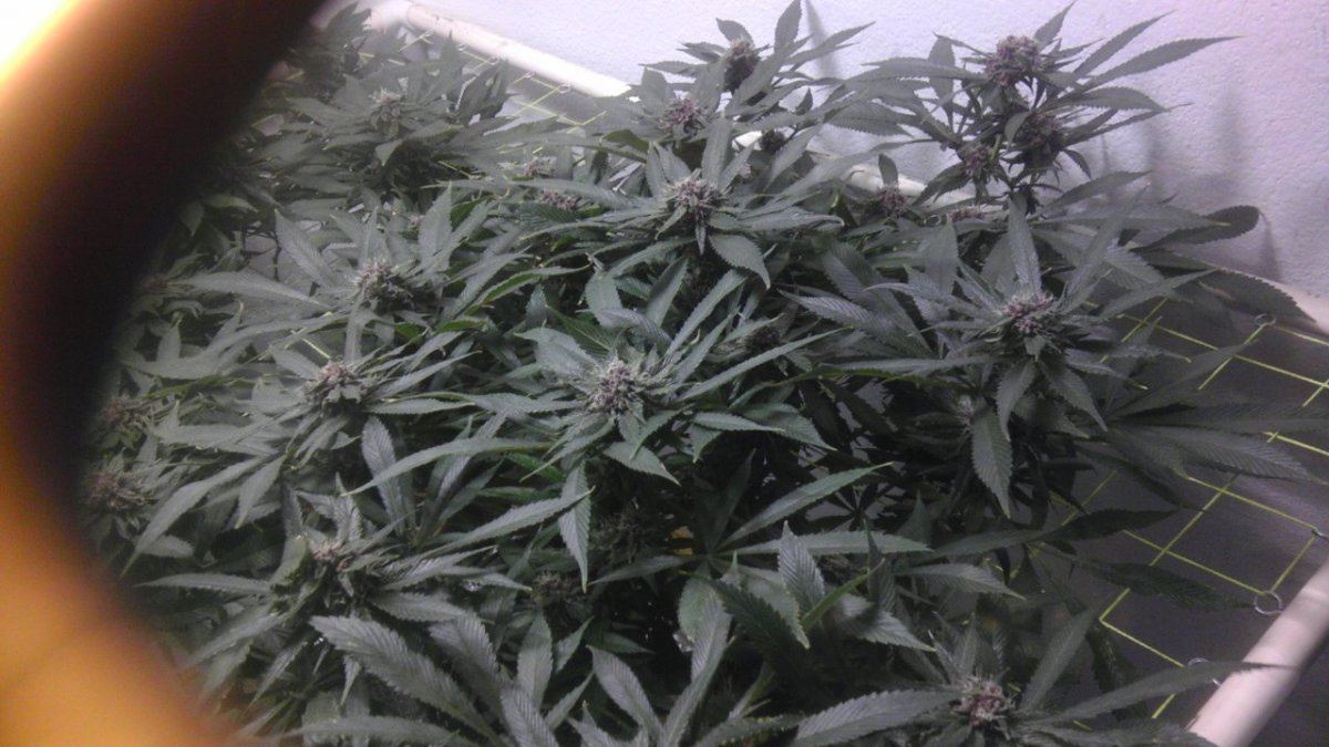 IMAG0923