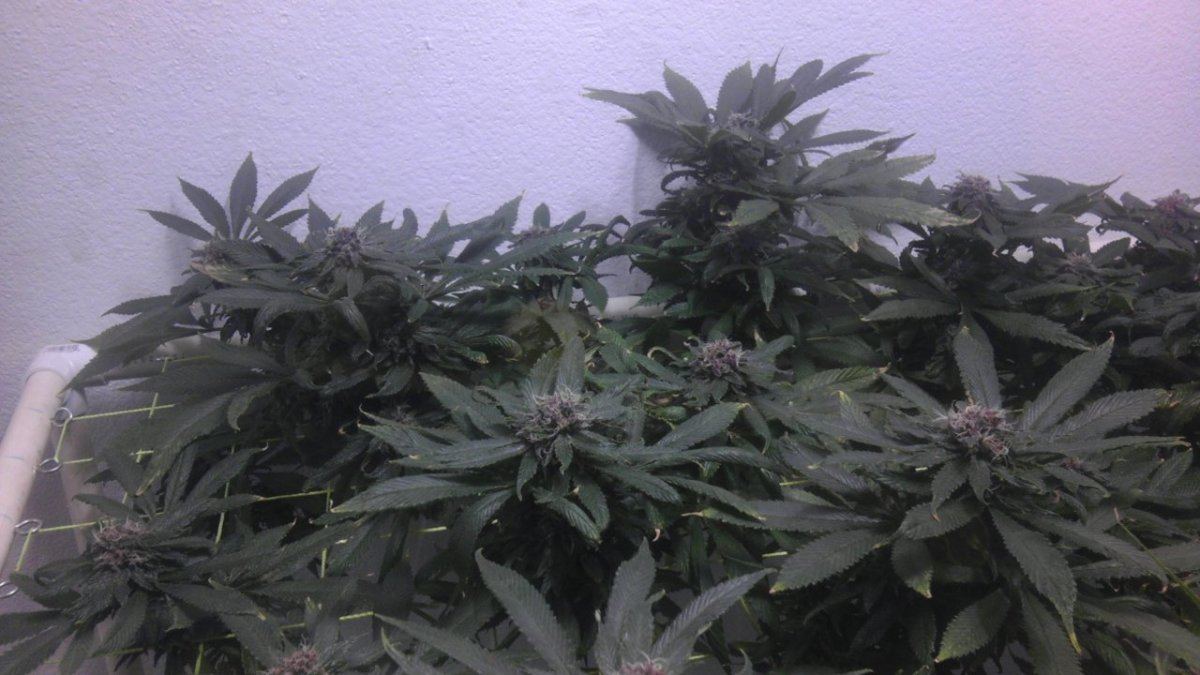 IMAG0931