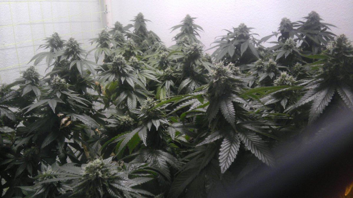 IMAG0945