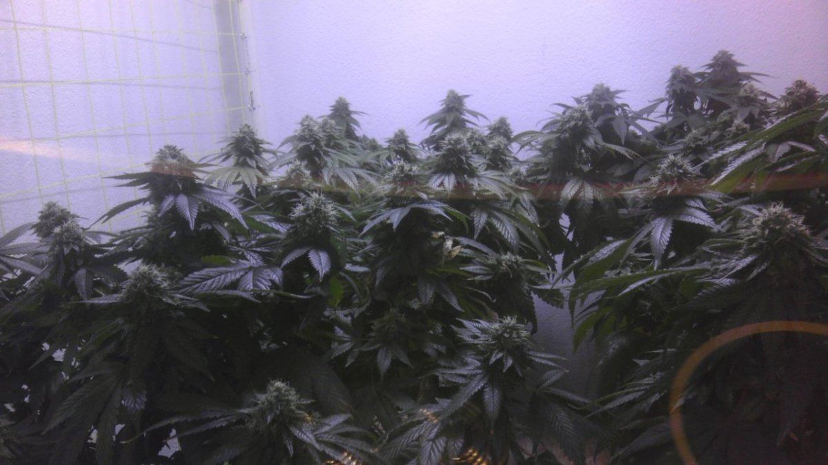 IMAG0946