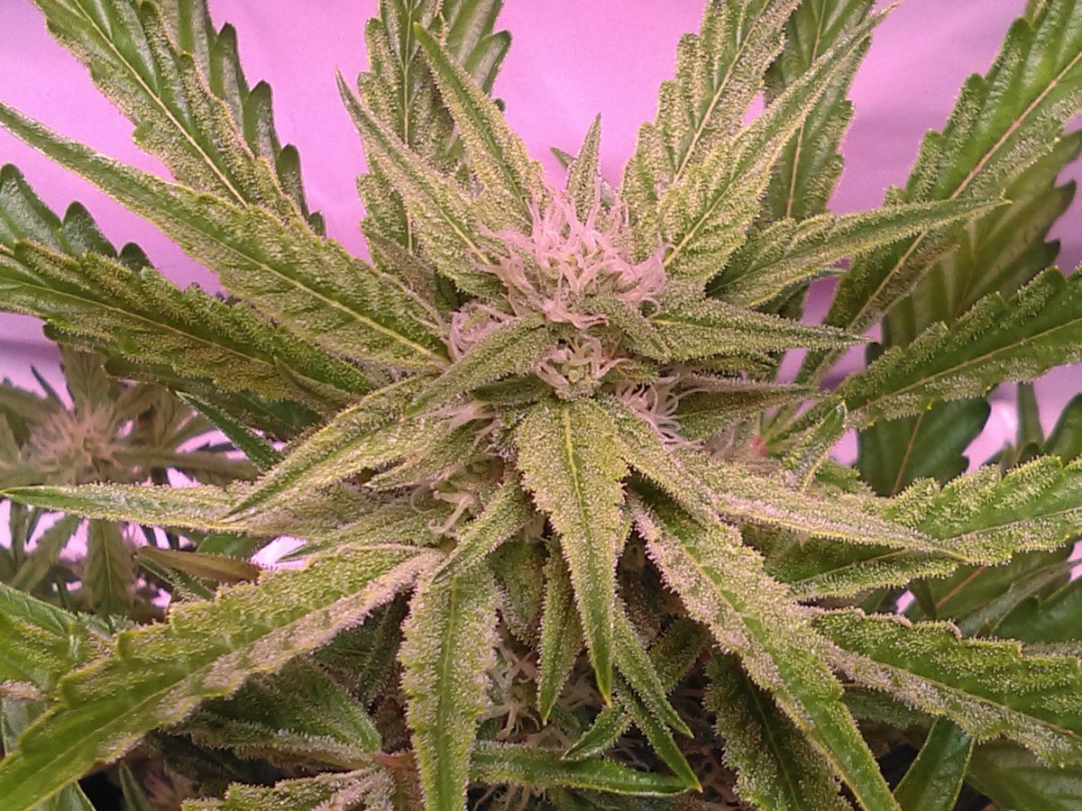 IMAG1112