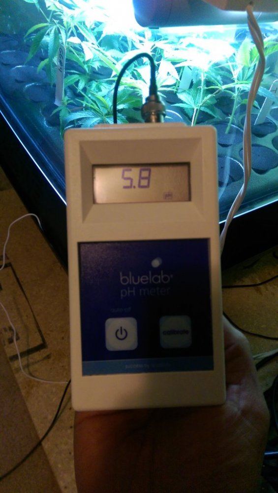 IMAG1165