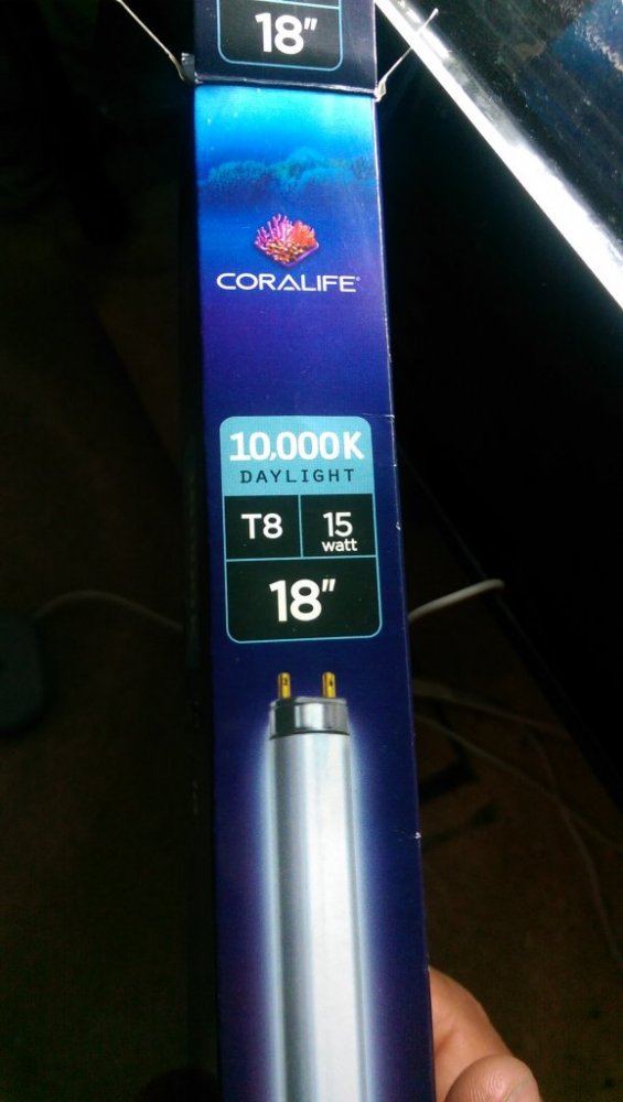 IMAG1302