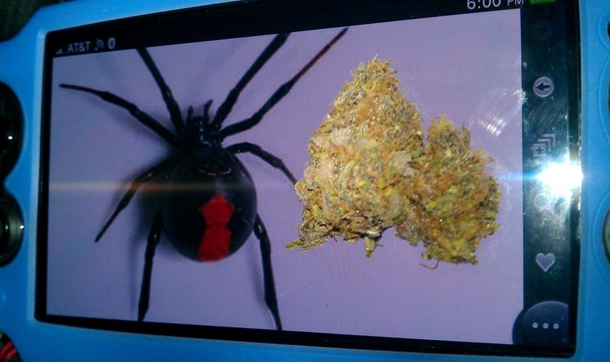 IMAG2111