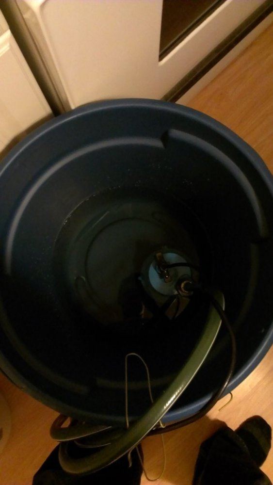 IMAG2293