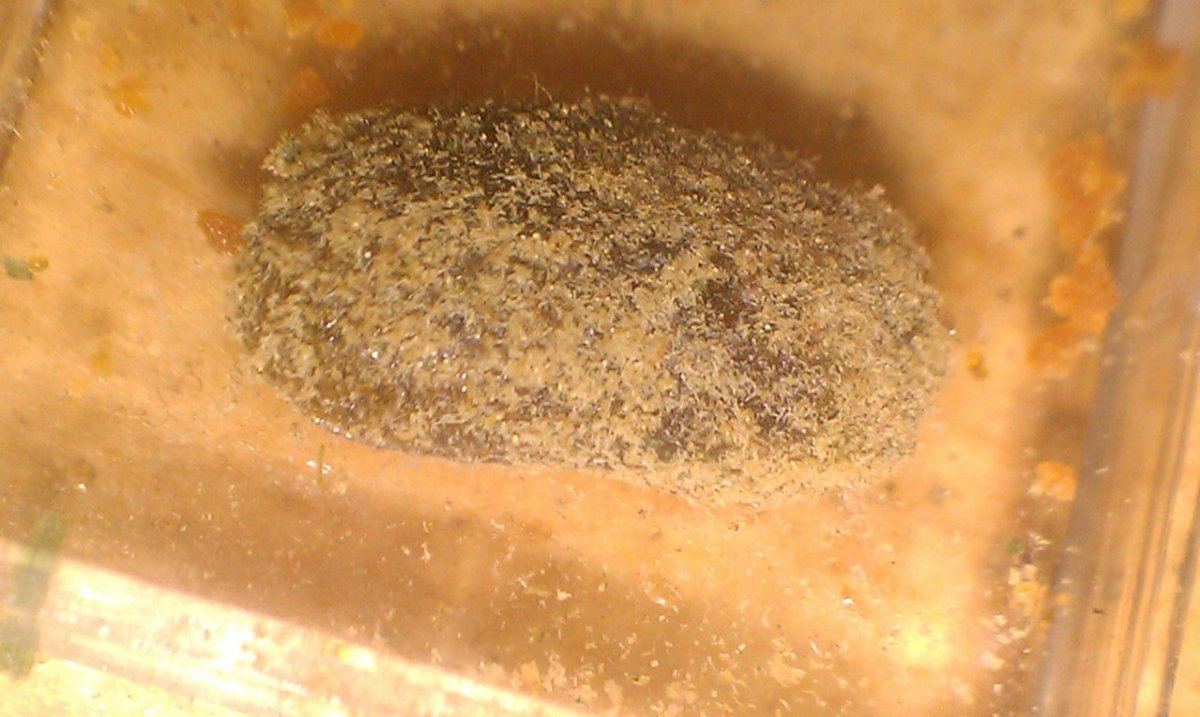 IMAG2342